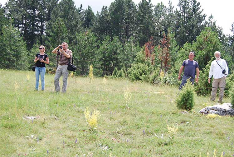 The authors of the Joint Strategy at the site Bijelopolje in the village of Hisardžik, Municipality of Prijepolje