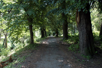 Sremski Karlovci, gradsko jezgro