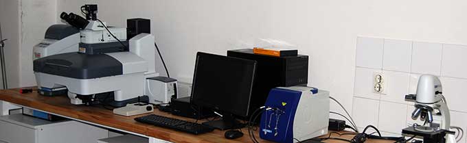 Internal Organisation